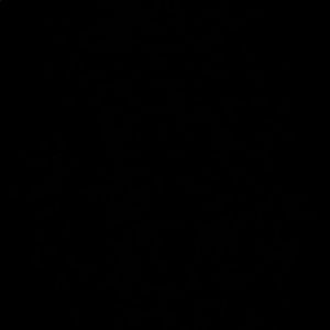 Meet your Posher, Riley